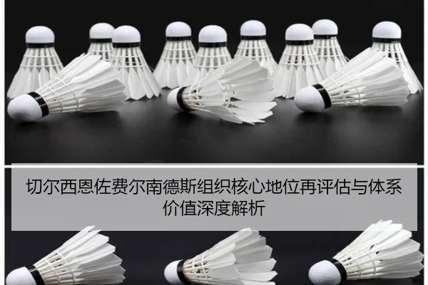 切尔西恩佐费尔南德斯组织核心地位再评估与体系价值深度解析